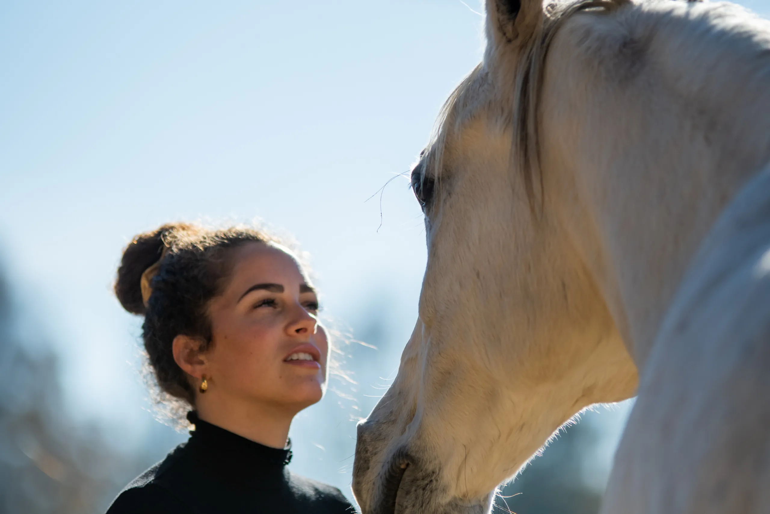 Horsemanship Vertrauensvolle Beziehung Pferd